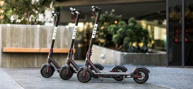 Electric Scooter